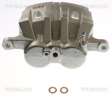 Pinça de travão Triscan A/S ref. 8175 13142