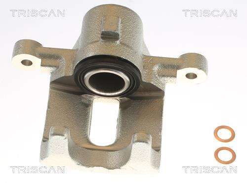 Pinza de freno Triscan A/S ref. 8175 13204