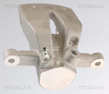 Étrier de frein Triscan A/S ref. 8175 13205