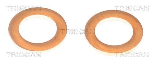 Pinza de freno Triscan A/S ref. 8175 13207