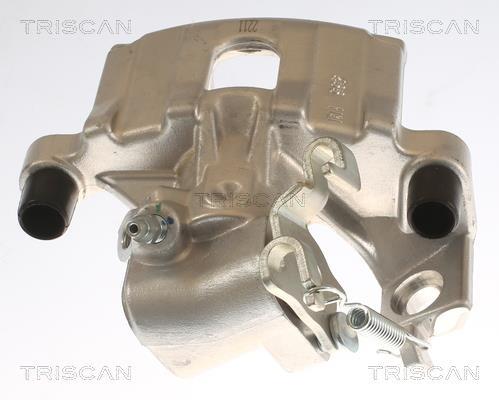 Pinça de travão Triscan A/S ref. 8175 13208