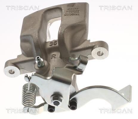 Pinza de freno Triscan A/S ref. 8175 13212