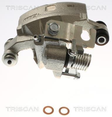Pinza de freno Triscan A/S ref. 8175 13215