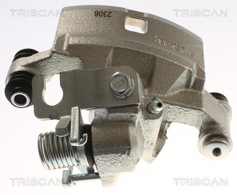 Pinza de freno Triscan A/S ref. 8175 13216