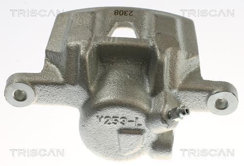 Pinza de freno Triscan A/S ref. 8175 13217