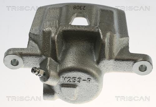 Pinza de freno Triscan A/S ref. 8175 13218