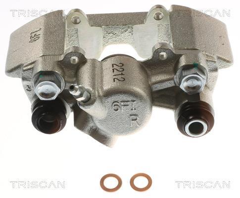 Pinza de freno Triscan A/S ref. 8175 13220