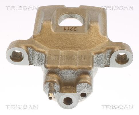 Pinza de freno Triscan A/S ref. 8175 13228
