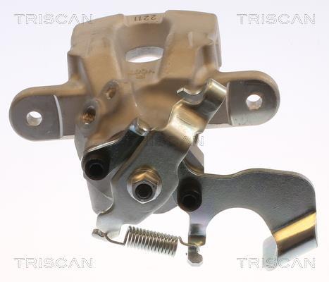 Pinza de freno Triscan A/S ref. 8175 13230