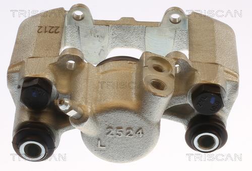 Pinza de freno Triscan A/S ref. 8175 13231