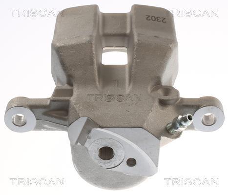 Pinza de freno Triscan A/S ref. 8175 13235