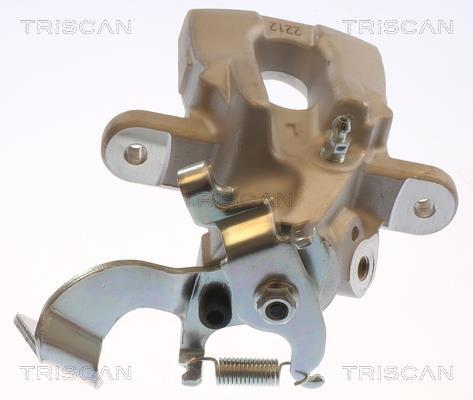 Pinza de freno Triscan A/S ref. 8175 13239
