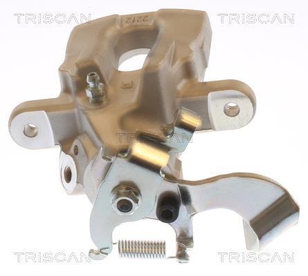 Pinza de freno Triscan A/S ref. 8175 13240