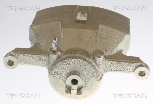 Étrier de frein Triscan A/S ref. 8175 14101