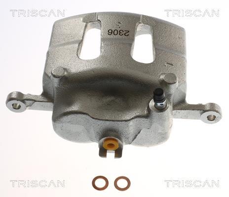 Étrier de frein Triscan A/S ref. 8175 14105