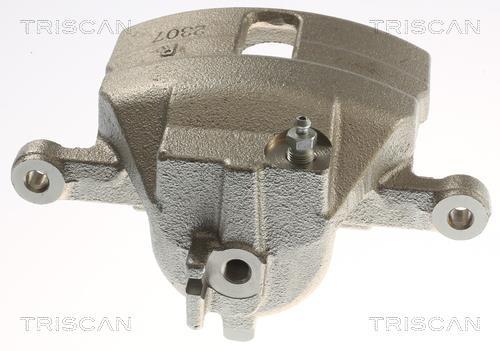 Pinza de freno Triscan A/S ref. 8175 14108