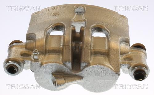 Pinza de freno Triscan A/S ref. 8175 14122