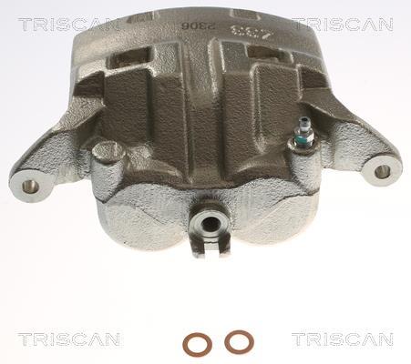 Pinza de freno Triscan A/S ref. 8175 14123