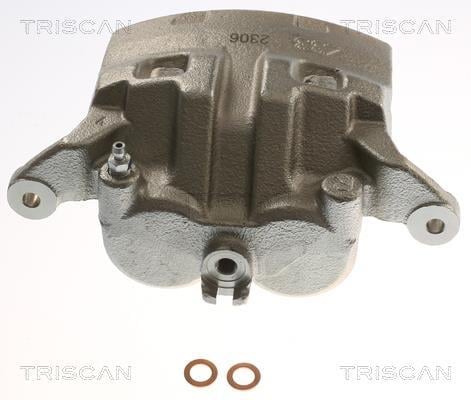 Pinza de freno Triscan A/S ref. 8175 14124