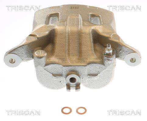 Pinza de freno Triscan A/S ref. 8175 14125