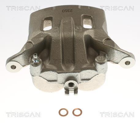 Pinza de freno Triscan A/S ref. 8175 14126