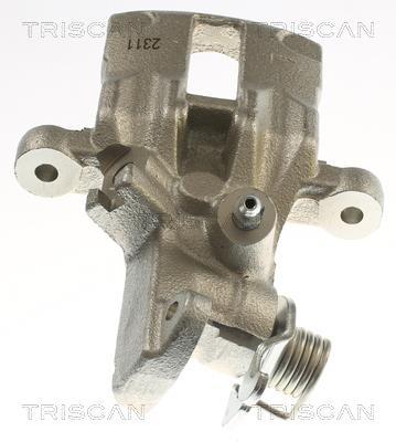 Pinza de freno Triscan A/S ref. 8175 14207