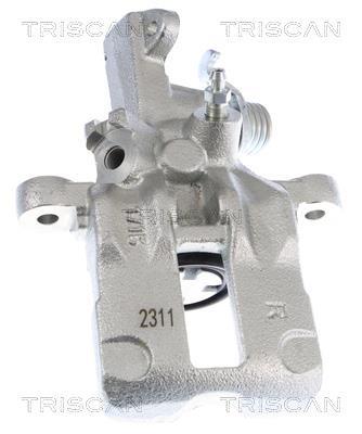 Pinza de freno Triscan A/S ref. 8175 14208