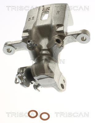 Pinza de freno Triscan A/S ref. 8175 14210