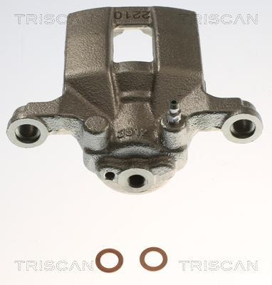 Pinza de freno Triscan A/S ref. 8175 14213