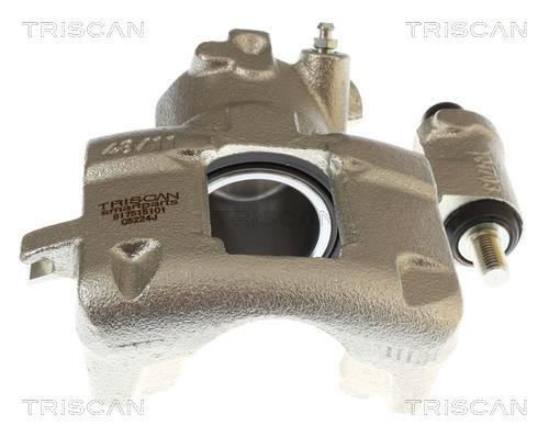 Étrier de frein Triscan A/S ref. 8175 15101
