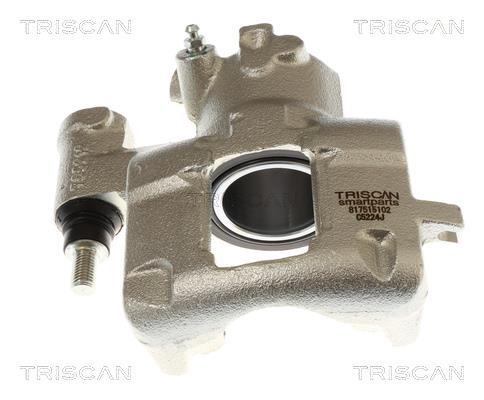 Pinza de freno Triscan A/S ref. 8175 15102