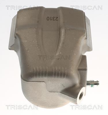 Pinza de freno Triscan A/S ref. 8175 15108