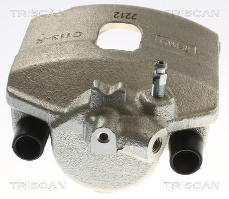 Pinza de freno Triscan A/S ref. 8175 15112