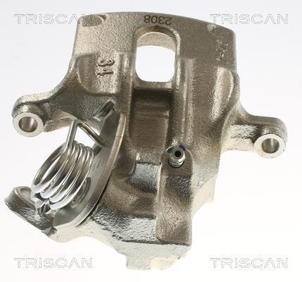 Pinza de freno Triscan A/S ref. 8175 15209