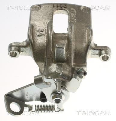 Pinza de freno Triscan A/S ref. 8175 15211