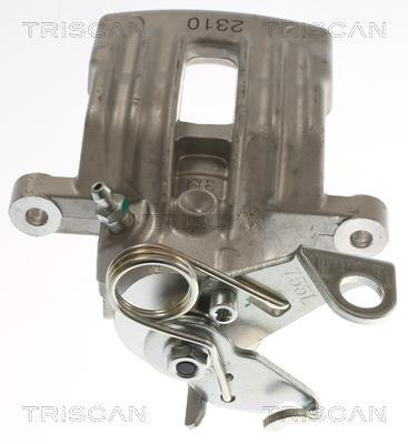 Pinza de freno Triscan A/S ref. 8175 15213