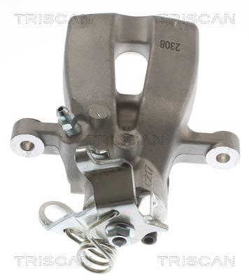 Pinza de freno Triscan A/S ref. 8175 15218