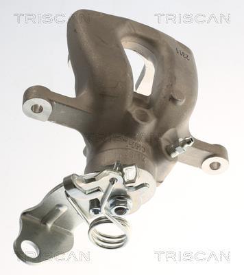 Pinza de freno Triscan A/S ref. 8175 15219