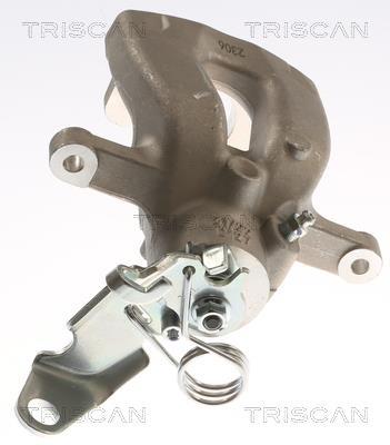Pinza de freno Triscan A/S ref. 8175 15221