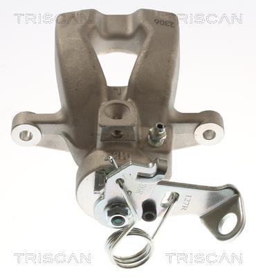 Pinza de freno Triscan A/S ref. 8175 15223