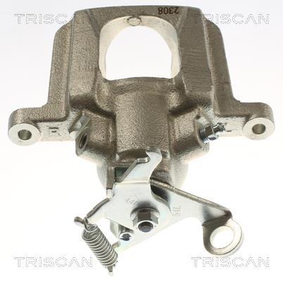 Pinza de freno Triscan A/S ref. 8175 15225