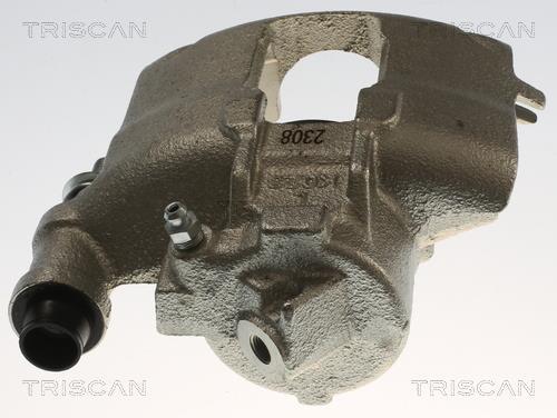 Pinza de freno Triscan A/S ref. 8175 16103