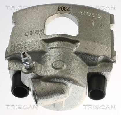 Pinza de freno Triscan A/S ref. 8175 16105
