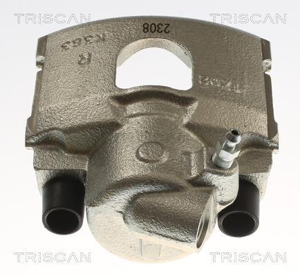 Étrier de frein Triscan A/S ref. 8175 16106