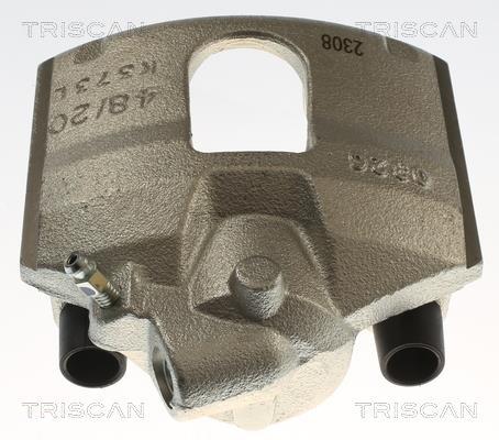 Pinza de freno Triscan A/S ref. 8175 16113