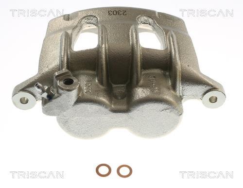 Pinza de freno Triscan A/S ref. 8175 16209