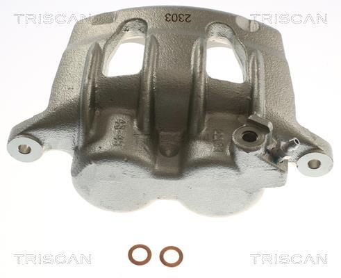 Pinza de freno Triscan A/S ref. 8175 16210