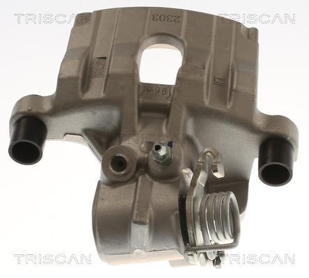 Pinza de freno Triscan A/S ref. 8175 16213