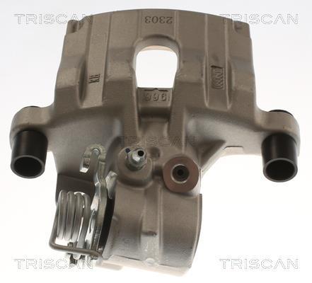 Étrier de frein Triscan A/S ref. 8175 16214