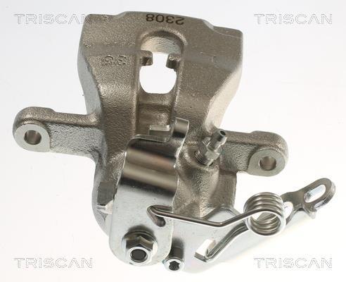 Pinza de freno Triscan A/S ref. 8175 16215